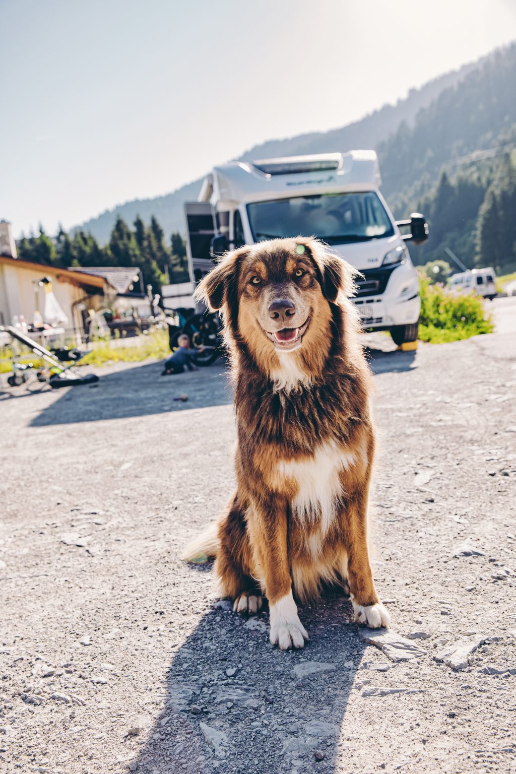 Camping Italien mit Hund Die 11 besten Campingplätze